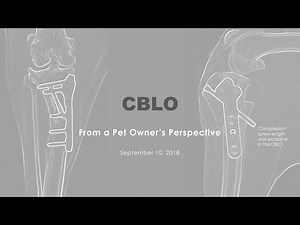 CBLO - CORA Based Leveling Osteotomy - Cruciate Surgery in Dogs: Client Perspective (Overview)