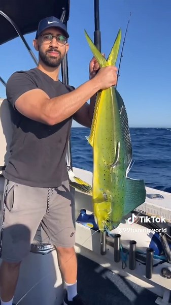 Large Mahi Mahi Fishing Adventure in Sydney