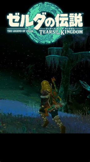 地底のテンション【Switch2｜ゼルダの伝説ティアーズ・オブ・ザ・キングダム/the Legend of Zelda：Tears of the Kingdom】