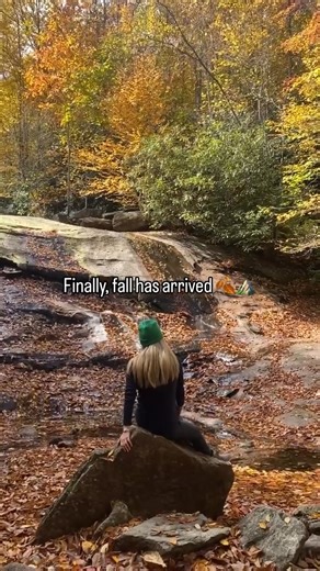 Hello, fall 🍂 Beech has traded summer greens for golden leaves. Who's ready? Start planning your autumn escape, here: https://bit.ly/41FEvu3. 📷: @cam_tsae | Beech Mountain