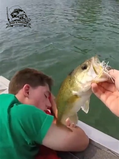 314K views · 979 reactions | From unexpected splashes to jaw-dropping catches - fishing has never been this wild!  #fishinglife #fishingmoments #OutdoorAdventure #viralfishing #catchoftheday | Fish & Funnies | Facebook