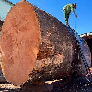 Huge Wood Splitting Skills You've Never Seen Before | Free Footsteps