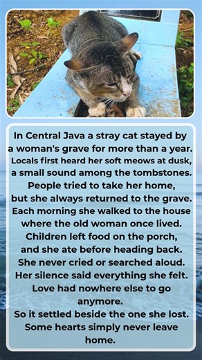 27K views · 1K reactions | Watermelon Sugar on Reels | Facebook