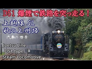 蒸気機関車D51 上越線 2013年 秋 Steam locomotive in Japan