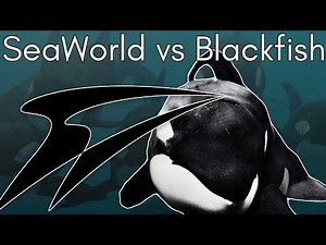 The Sinking of SeaWorld: What Happened After Blackfish