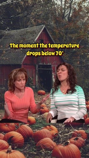 Sweater Weather Memes for Fall Vibes