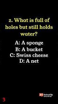 funny Quiz Questions You Can’t Get Wrong… Or Can You? 🧠