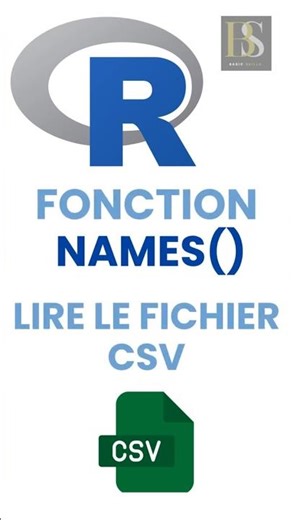 La fonction Names() en R expliquée simplement