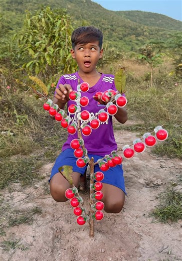 Survival Candy in the Forest