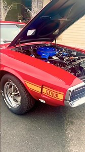 1969 Ford Mustang Shelby GT500