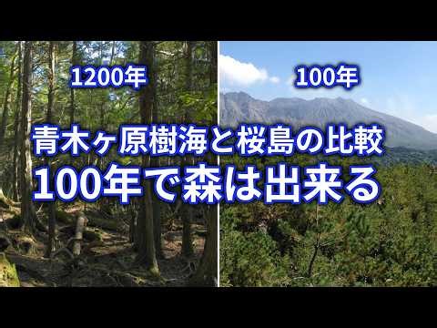 【資料検証：青木ヶ原樹海の歴史】100年で森は形成される。桜島の比較データで解き明かす【空白の800年】
