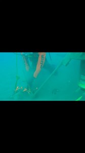 215 reactions · 13 comments | Work Under Pressure. #diving #open #sea | Ghaz Wild | Facebook