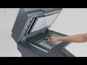 Lexmark XM7355 - Cleaning the scanner
