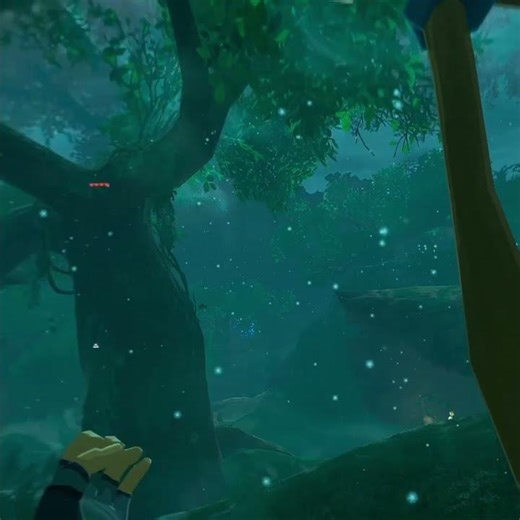 No Fog Walls in BOTW VR Zelda