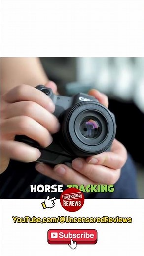 The Honest Verdict on the Canon EOS R8