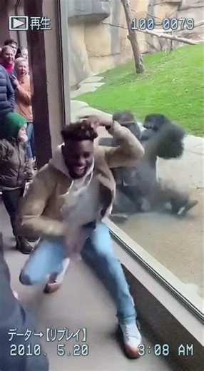 This Is Too Crazy to Be Real 😱🔥｜これは本当にヤバすぎる！