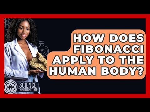 How Does Fibonacci Apply To The Human Body? - Science Through Time