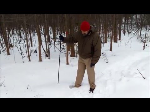 Why it's Easier to Walk on Snow with Snowshoes