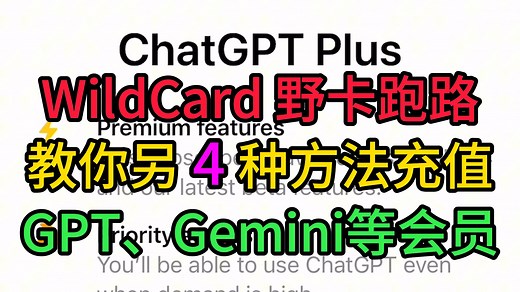 【教程】WildCard野卡跑路了？别慌！SafePal平替图文教程在置顶评论！另有苹果礼品卡等4种方法订阅ChatGPT、Claude、Grok等国外会员！