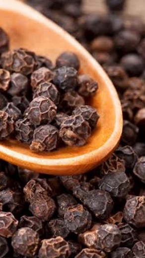 Black Pepper Plants | Miryala Plant | Spices Plants | Black Pepper Farming | Shiva Agri Clinic #blackpepper #blackpepperplants #spicesplants #farming #agriculture #plants #newplants #reels #shivaagriclinic | Shiva AgriClinic