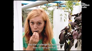 121K views · 11 reactions | "We have the opportunity to build a really resilient food system for the UK," - how GrowUp Farms, a salad-growing vertical farm, scaled up with the help of Barclays and Unreasonable Impact | Guardian Labs | Facebook