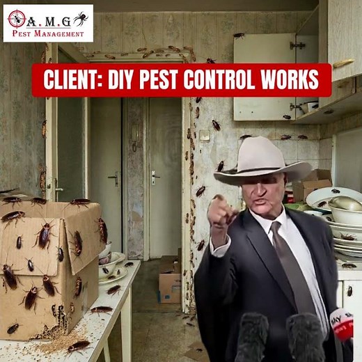 DIY Pest Control