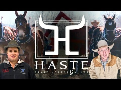 “A Day in the Life" | Behind the Scenes of America’s Leading Draft Horse & Mule Barn”