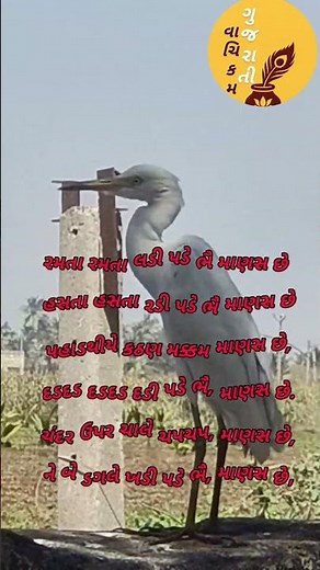 માનવીનો સ્વભાવ કેવો હોય| gujarati| poetry |kavita| recitation|poem| gazal|poem| sacchibat|explore|