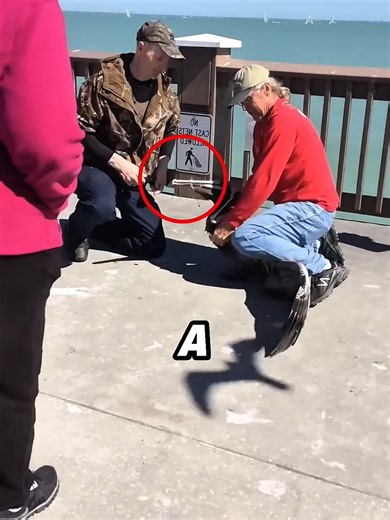 🦩 This Man Suddenly Met a Friendly Pelican 😲❤️ #Pelican #WildlifeMoment #BirdLovers #AmazingAnimals #NatureLife #AnimalLovers #ViralAnimals #CuteAnimals #UnexpectedMoment #Wildlife #Heartwarming #BirdVideo #TrendingNow #TikTokAnimals #NatureLovers