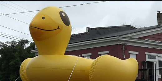 ‘They’re serious about their ducks’: Island Falls hosts ninth annual rubber duck race