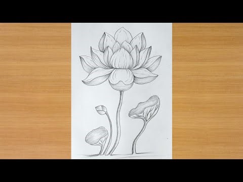 How to draw Lotus flower - step by step || Drawing Tutorial || Pencil Sketch