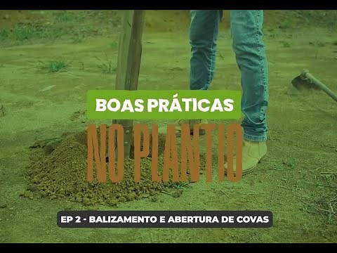 Boas Práticas no Plantio - Balizamento e abertura de covas
