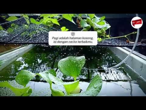 Best Morning Motivation | Inspiring Quotes for a Fresh Start