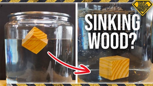 Learn The Real Trick To Successfully Sinking Wood Underwater