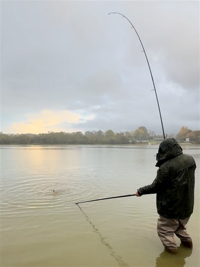 🎣𝗕𝗘𝗡𝗧 𝗥𝗢𝗗𝗦 𝗔𝗟𝗟 𝗢𝗩𝗘𝗥 𝗧𝗛𝗘 𝗦𝗛𝗢𝗣! That's the Powerfully Thick Sensate™ Fish Accelerant effect. 🔛 Sticks and stays on Method feeders, boilies, pellets, wafters and pop-ups. ⏰ Sustained release - activates in seconds and lasts hours, focusing action on your bait getting fish to bite. 🧑‍🔬Scientific breakthrough. Contains Fish Accelerant, Fjuka's exclusive micelle technology for increased bioavailability of attractants and prolonged bites. #fishinglife #fishing #angling #carpfi
