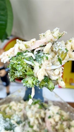 Episode 11 of Costco Chicken in a Bag and this one went crazy at our house. Knorr creamy garlic, fresh lemon, tender chicken, veggies, and just a little peppery kick brought it all together. Honest family score was a 9.2 out of 10 and every kid cleaned their plate. Cheap, easy, almost no dishes, and big flavor wins again. Recipe in the comments. #costcochicken #easyfamilymeals #onebagmeal #budgetdinner #ryantylercooks | Ryan Tyler Cooks
