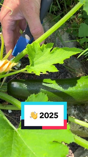 En 2026, je t’embarque avec moi pour une mission très simple : faire pousser des récoltes dont tu seras vraiment fier. Pas de jargon, pas de stress, pas besoin d’être un pro, juste des gestes faciles, des astuces concrètes et des moments de détente. Si tu veux que ton jardin (ou ton balcon !) devienne un petit coin de verdure où ça pousse presque tout seul … Alors tu es au bon endroit. On va semer, arroser, récolter… et surtout profiter. Prêt à voir ce que tu peux faire pousser cette année ? 👉 