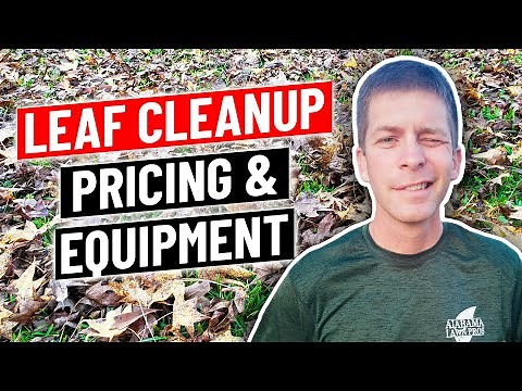 Leaf Clean Up Pricing, Equipment Setup, Pros and Cons (what you need to know)