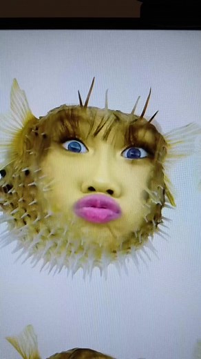 Puffer Fish Comedy Performance by BINI Sheena