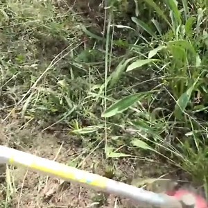 Weed Eater Blades 6-Steel Cutter Trimmer Head Weed Wacker Blades Universal Fits Straight Shaft Trimmer