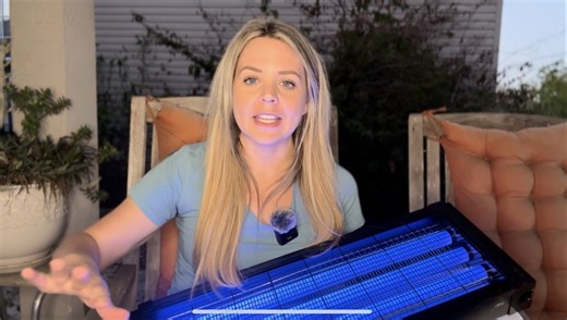 Watch The Solar Bug Zapper Every Backyard Needs ﹙Install   Demo﹚ on Amazon Live