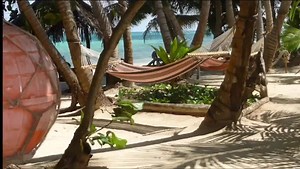 🇳🇮| Demos un recorrido por Little Corn Island, La Pequeña Isla del Maíz, Al ritmo caribeño nicaragüense del Tululu pasa 🎶🏝️🇳🇮 Descubre Nicaragua en línea. www.lifenicaragua.com | Life In Nicaragua