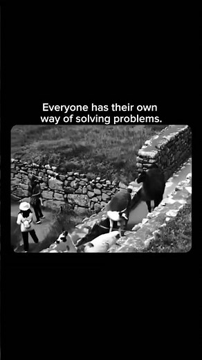 Everyone has their own way of solving problems #ProblemSolving #LifeLessons