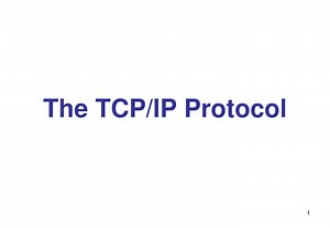 The TCP/IP Protocol - SlideServe