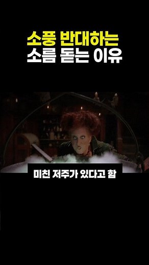소풍 반대하는 소름 돋는 이유 #현장체험학습 #교권보호 #교사브이로그 #교육문제 #학교생활