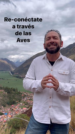 Aprendamos a observar aves y re-conectémonos con nuestra naturaleza. Viernes 07 de noviembre. Sólo en nuestro canal de YouTube #avistandoperu | Avistando Perú