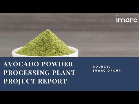 How to Start a Avocado Powder Processing Plant: Project Cost Analysis