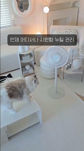 디자인, 성능 다 갖춘! 완벽한 26년형 무선 선풍기 써큘레이터 #선풍기추천