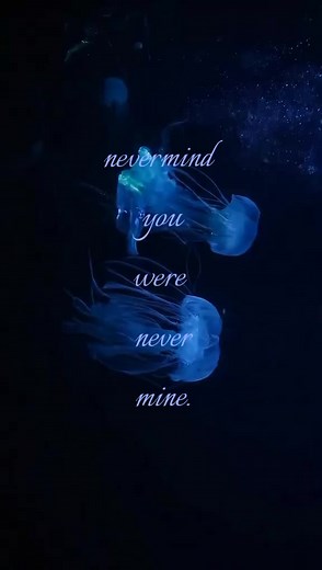 Understanding 'You Were Never Mine' Song Lyrics