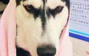 bbbbbbbbbbbbbbbbbbbb